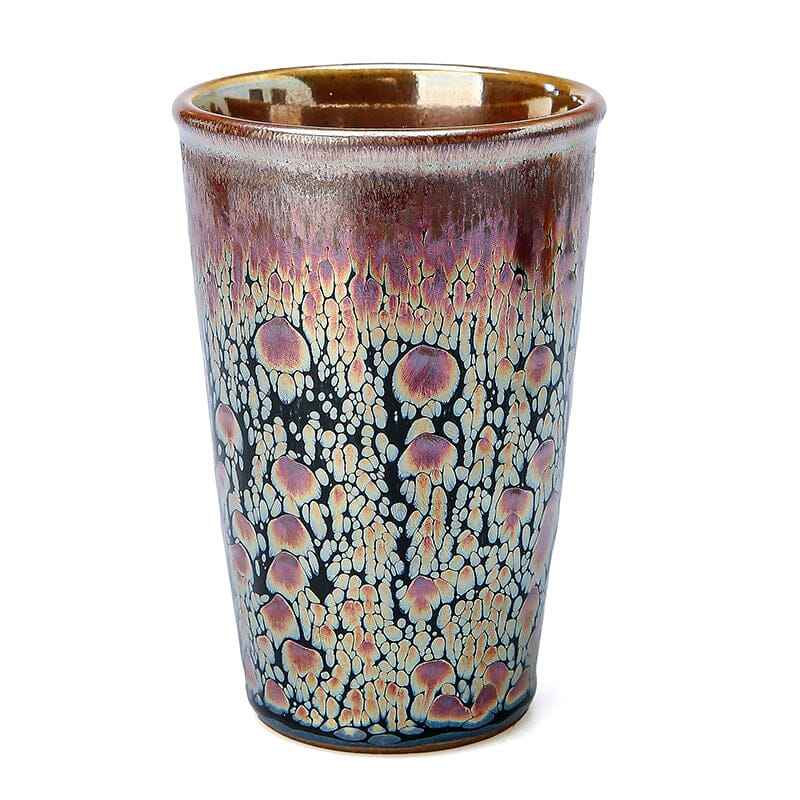 Succulent Jian Zhan- Kiln Temmoku