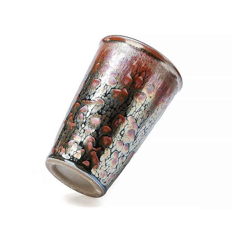 Succulent Jian Zhan- Kiln Temmoku