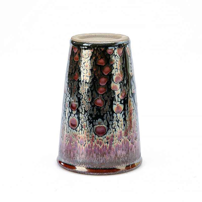 Succulent Jian Zhan- Kiln Temmoku