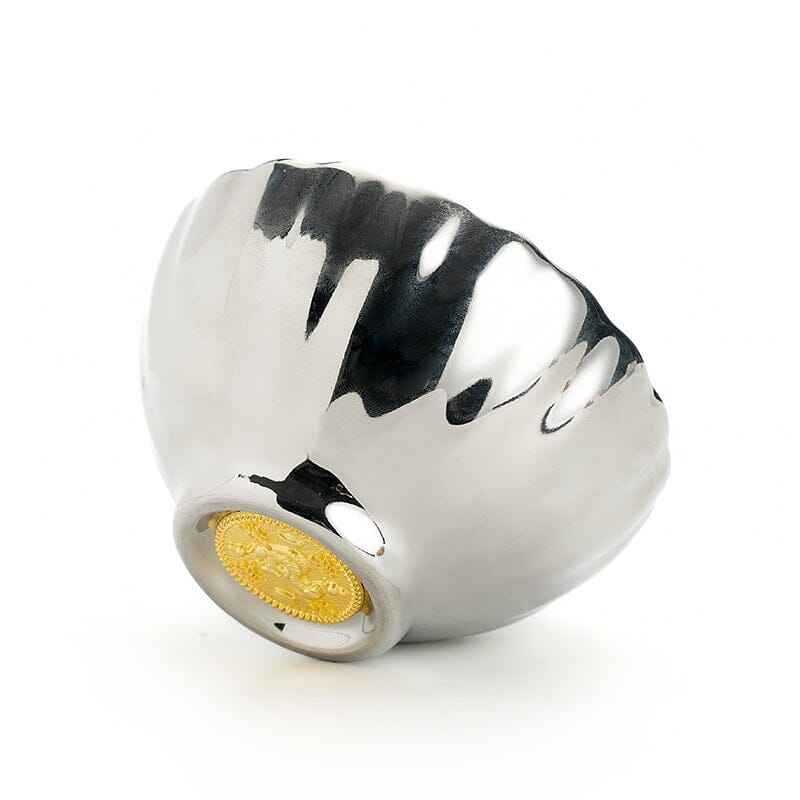 Vivid Silver Jian Zhan- Kiln Temmoku