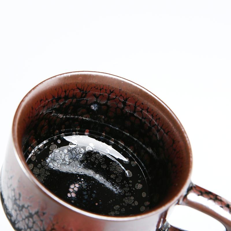 Succulent Coffee Cup Jian Zhan- Kiln Temmoku