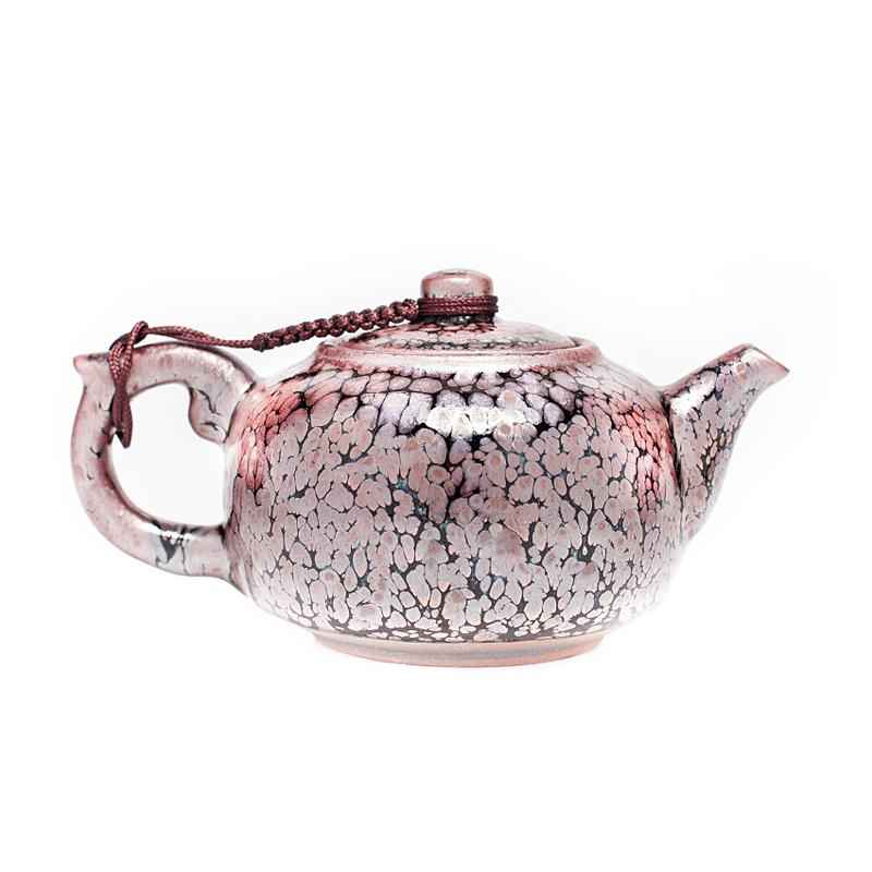 Succulent Teapot Jian Zhan- Kiln Temmoku