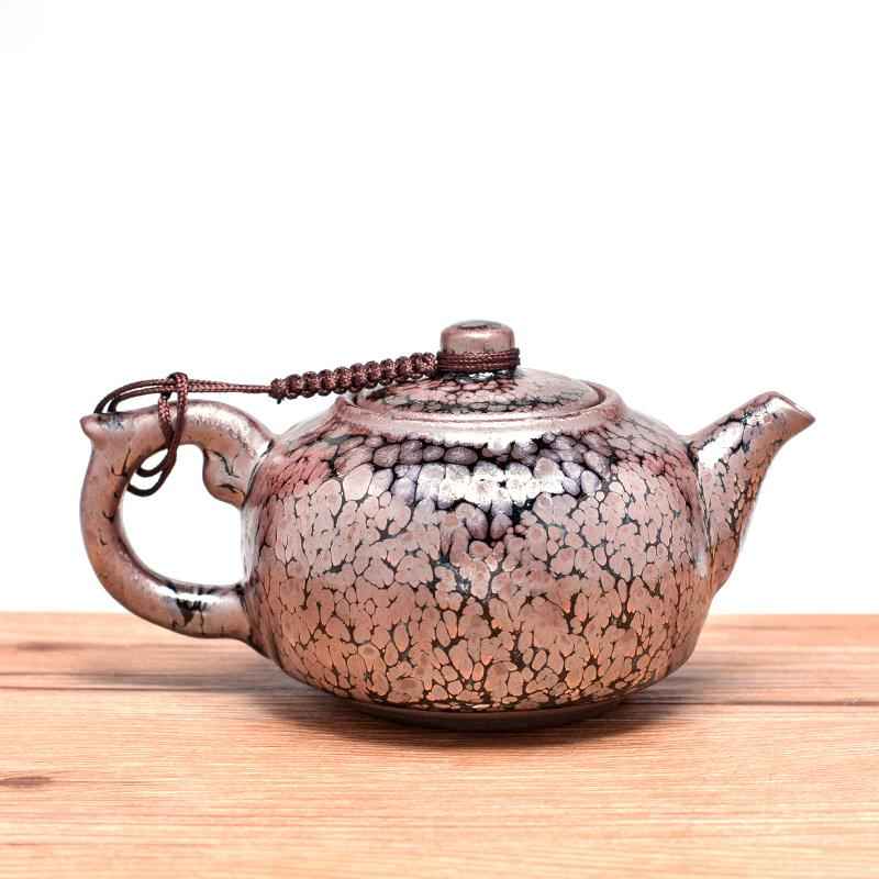 Succulent Teapot Jian Zhan- Kiln Temmoku